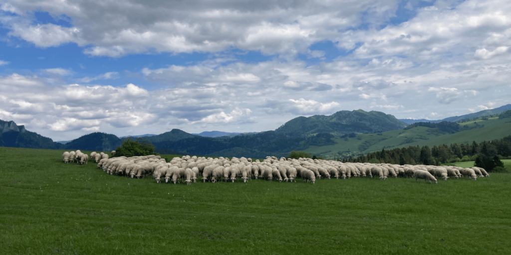 BIO farma FLOVIUM