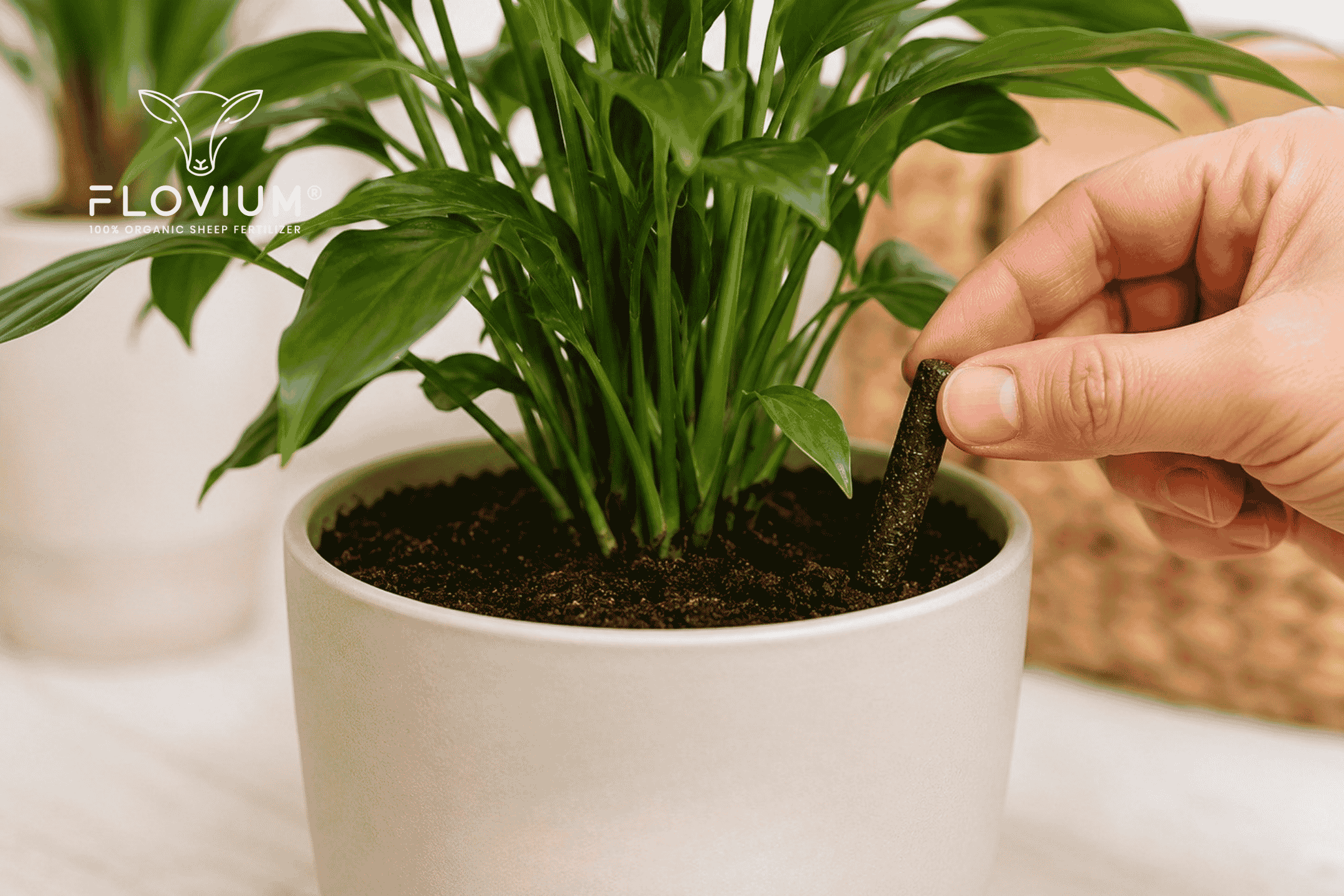 Použitie hnojiva Flovium | flovium.com