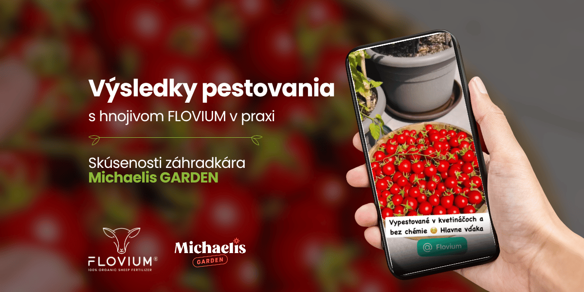 Výsledky pestovania s hnojivom Flovium v praxi